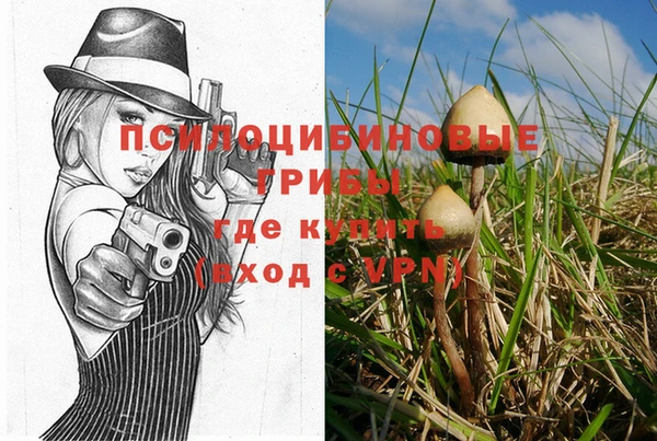 каннабис Дмитриев