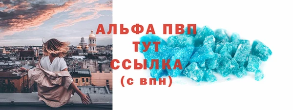 прущие грибы Дмитров