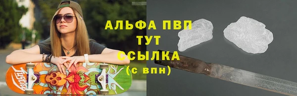 прущие грибы Дмитров