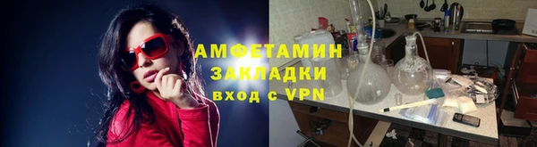 прущие грибы Дмитров