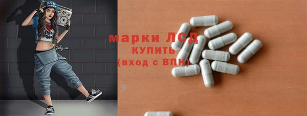 прущие грибы Дмитров