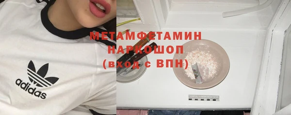 прущие грибы Дмитров