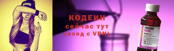прущие грибы Дмитров