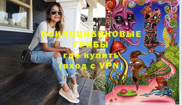 винт Щучье