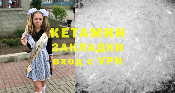 прущие грибы Дмитров