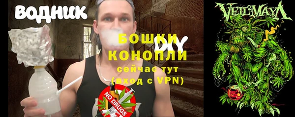 прущие грибы Дмитров